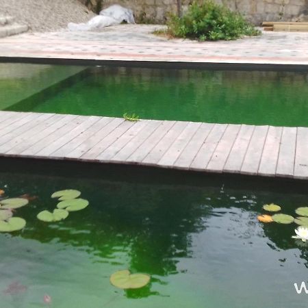 Gite Les Cabanes De Fallot Pour 15 Personnes - Piscine Naturelle L'isle-Bouzon Экстерьер фото