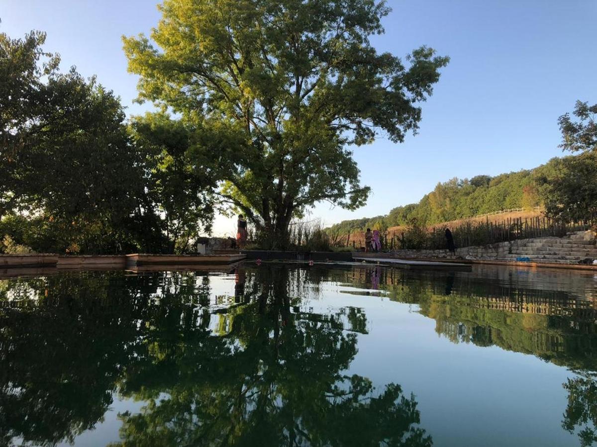 Gite Les Cabanes De Fallot Pour 15 Personnes - Piscine Naturelle L'isle-Bouzon Экстерьер фото